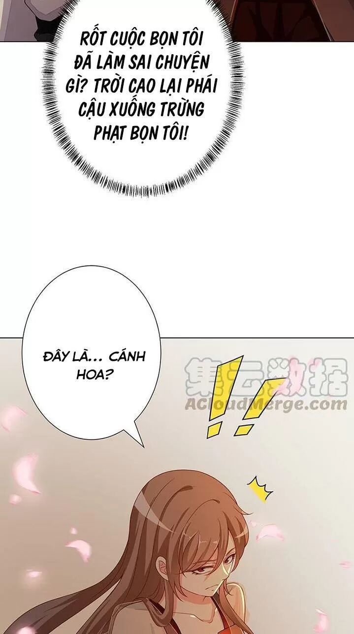 Quy Luật Tình Yêu Ở Mạt Thế Chapter 265 - Trang 2