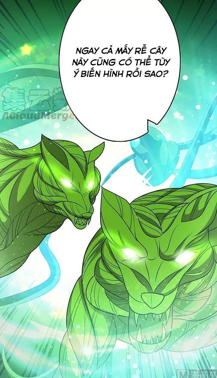 Quy Luật Tình Yêu Ở Mạt Thế Chapter 267 - Trang 2