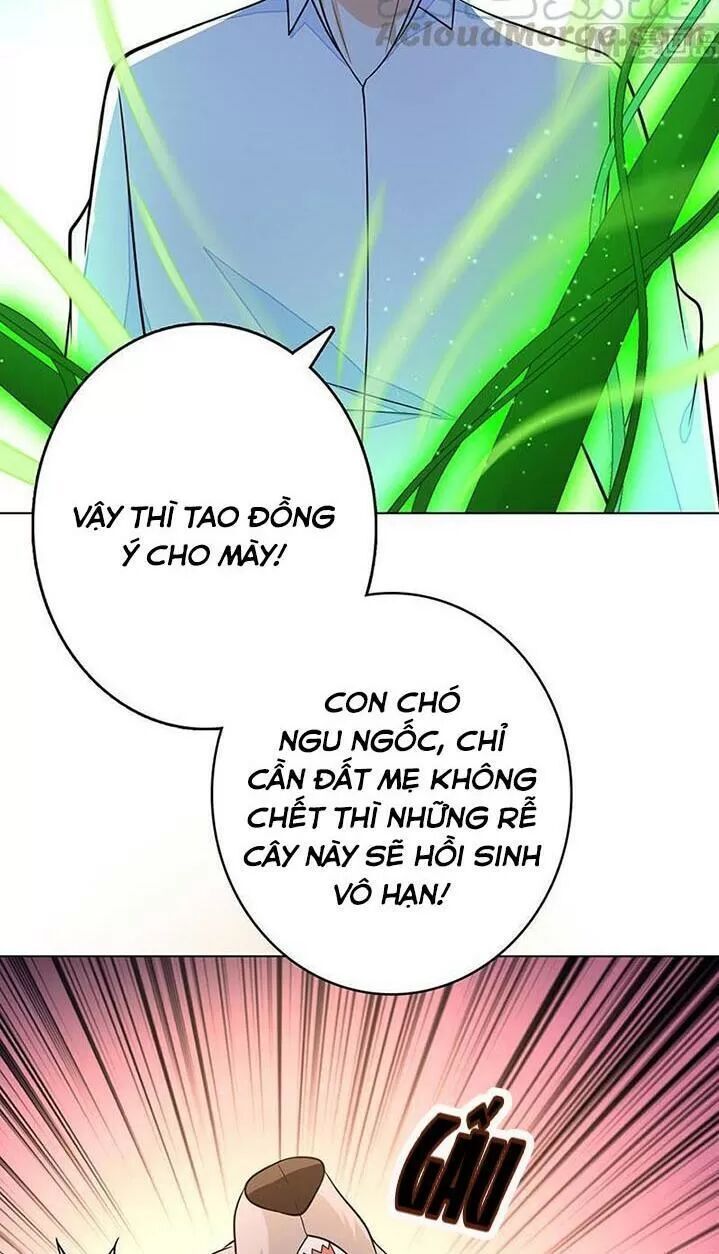 Quy Luật Tình Yêu Ở Mạt Thế Chapter 267 - Trang 2