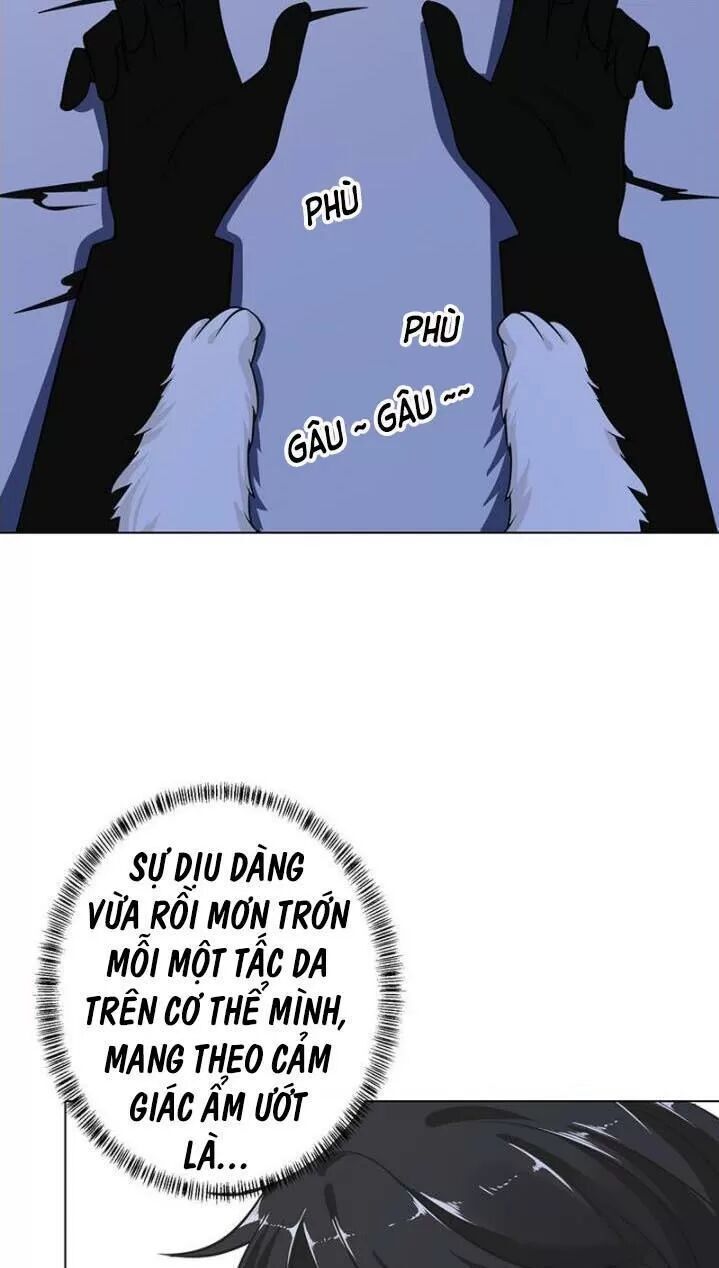 Quy Luật Tình Yêu Ở Mạt Thế Chapter 288 - Trang 2