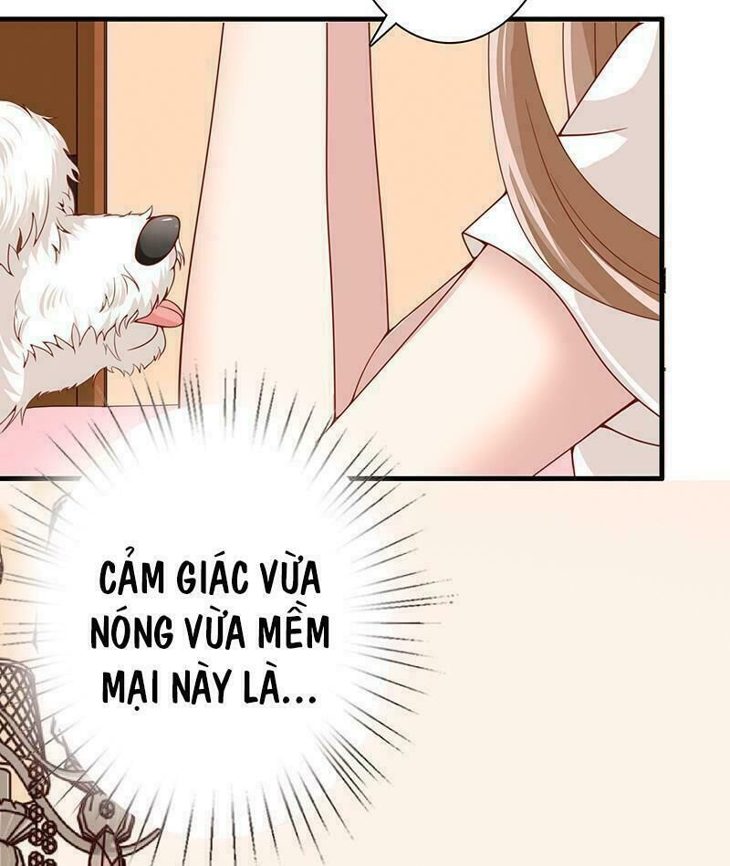 Quy Luật Tình Yêu Ở Mạt Thế Chapter 3 - Trang 2