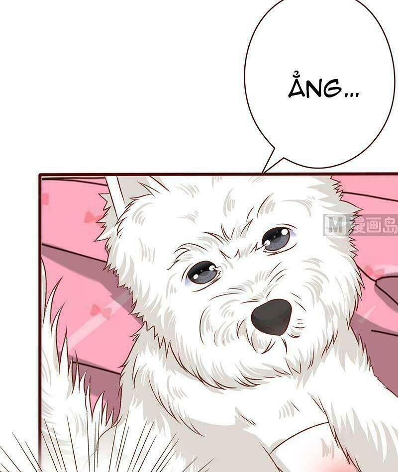 Quy Luật Tình Yêu Ở Mạt Thế Chapter 4 - Trang 2