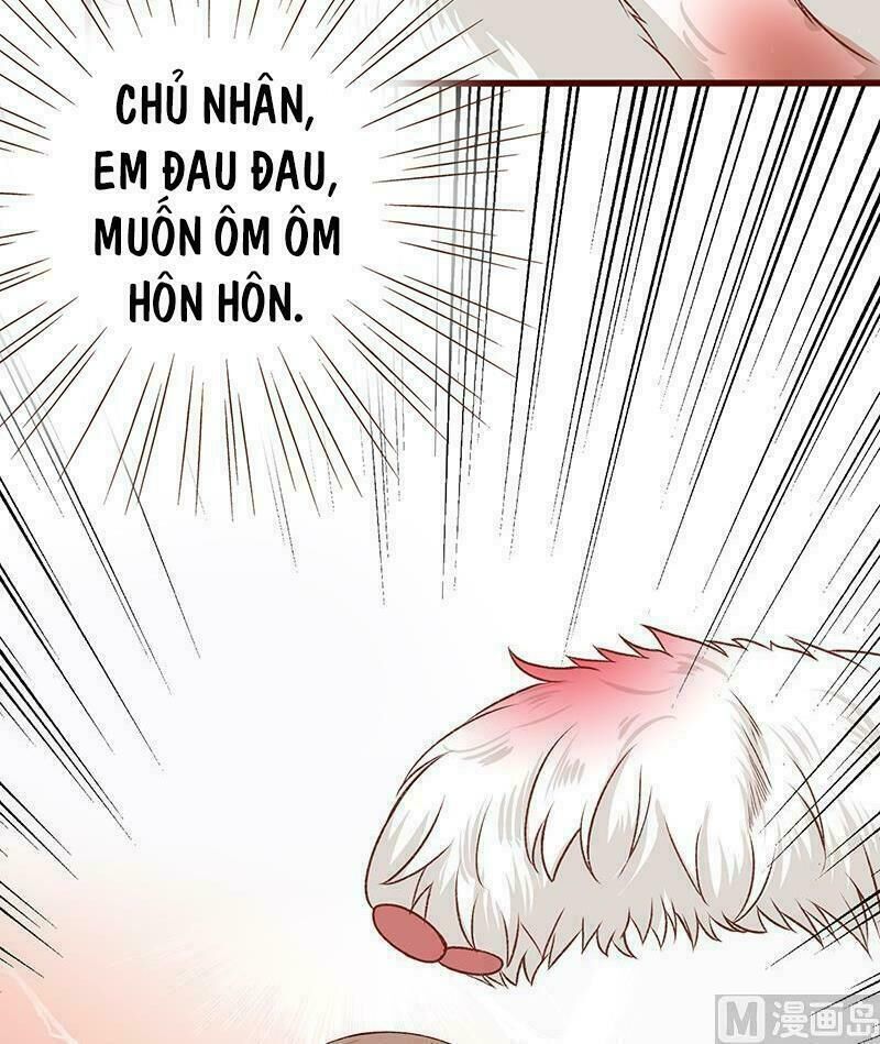 Quy Luật Tình Yêu Ở Mạt Thế Chapter 4 - Trang 2