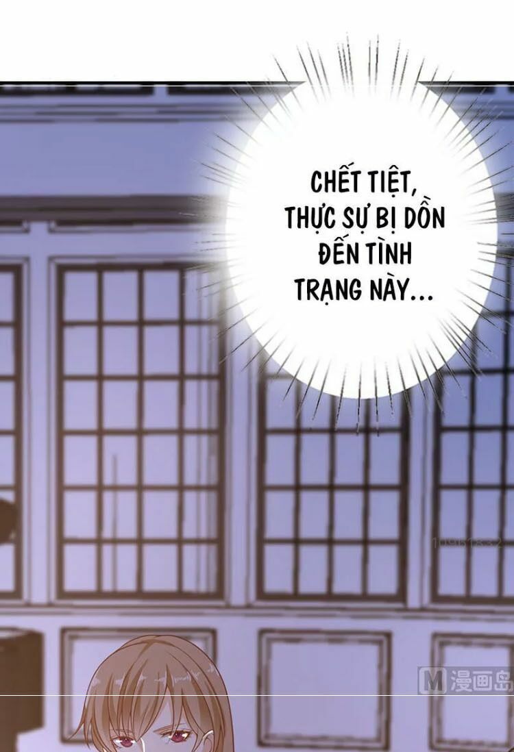 Quy Luật Tình Yêu Ở Mạt Thế Chapter 57 - Trang 2