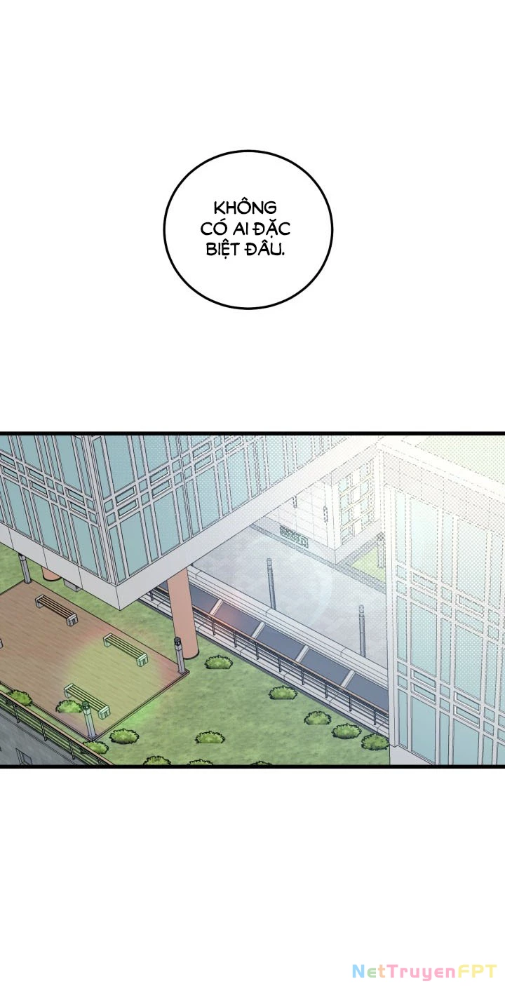 Quy Luật Về Rác Rưởi Chapter 1.1 - Trang 2