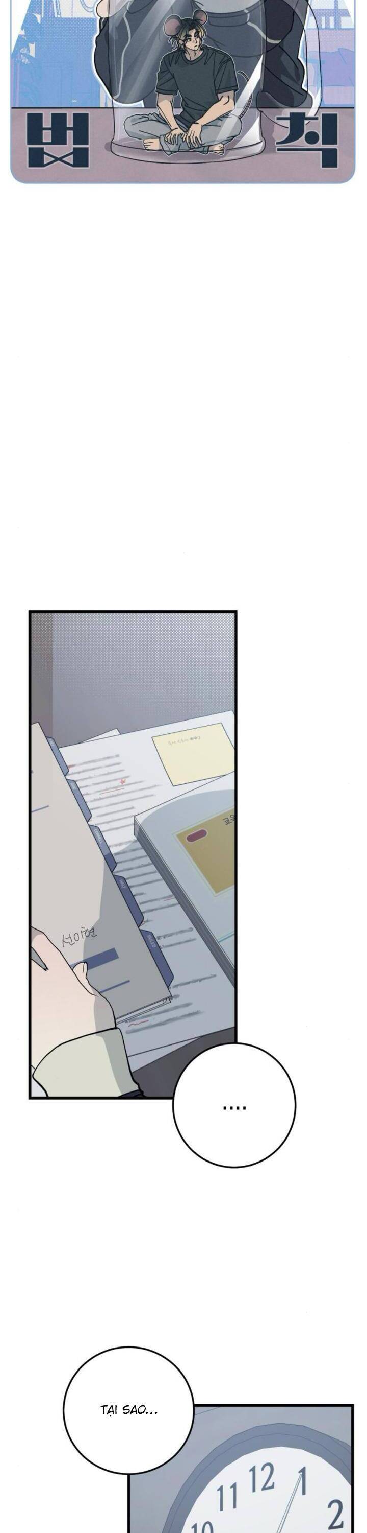 Quy Luật Về Rác Rưởi Chapter 6 - Trang 2