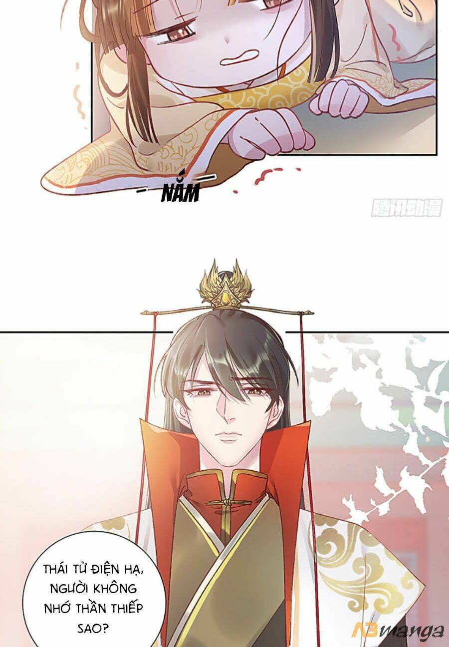 Quý Phi Lúc Nào Cũng Muốn Được Lười Biếng Chapter 1 - Trang 2