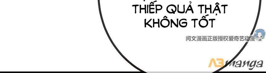 Qúy Phi Muốn Trở Thành Con Cá Mặn Mòi Chapter 25 - Trang 2