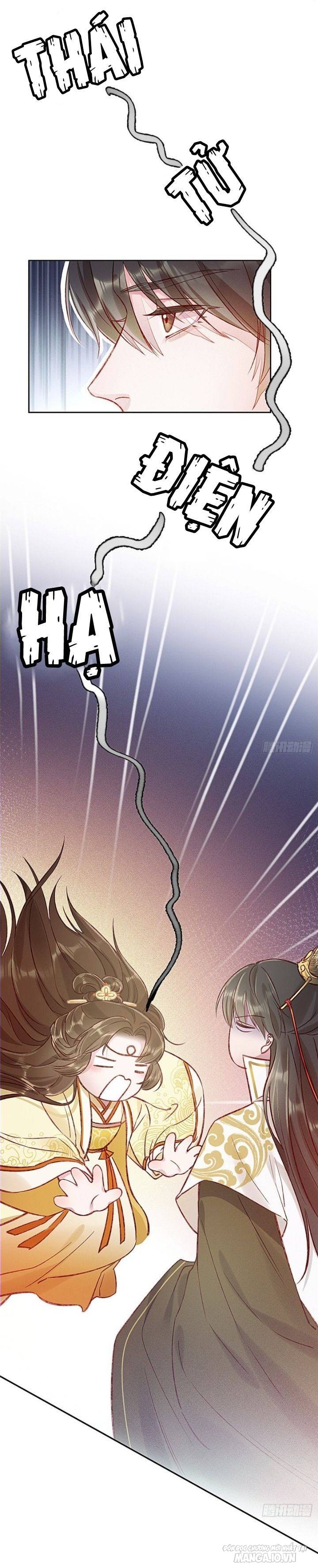 Qúy Phi Muốn Trở Thành Con Cá Mặn Mòi Chapter 3 - Trang 2