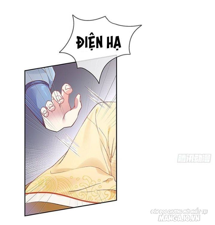 Qúy Phi Muốn Trở Thành Con Cá Mặn Mòi Chapter 3 - Trang 2