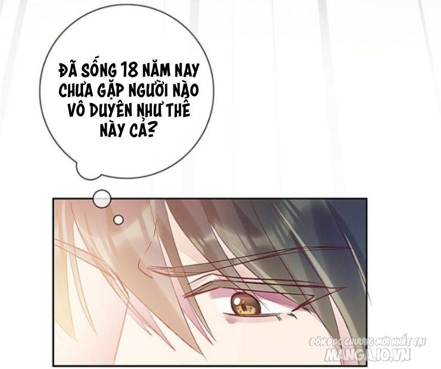 Qúy Phi Muốn Trở Thành Con Cá Mặn Mòi Chapter 3 - Trang 2