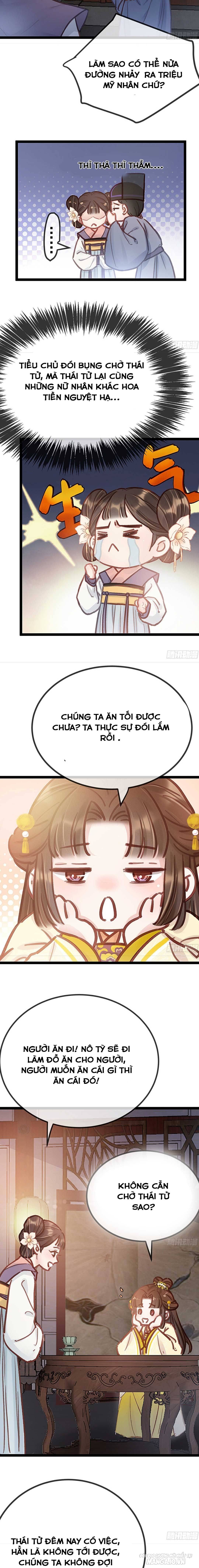 Qúy Phi Muốn Trở Thành Con Cá Mặn Mòi Chapter 40 - Trang 2