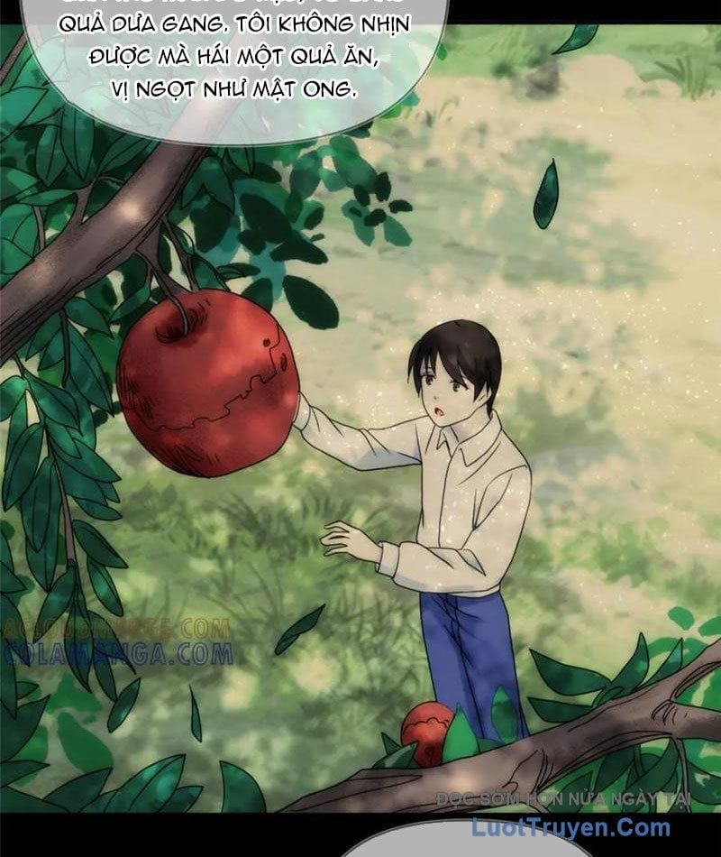 Quỷ Thần Trủng Chapter 36 - Trang 2