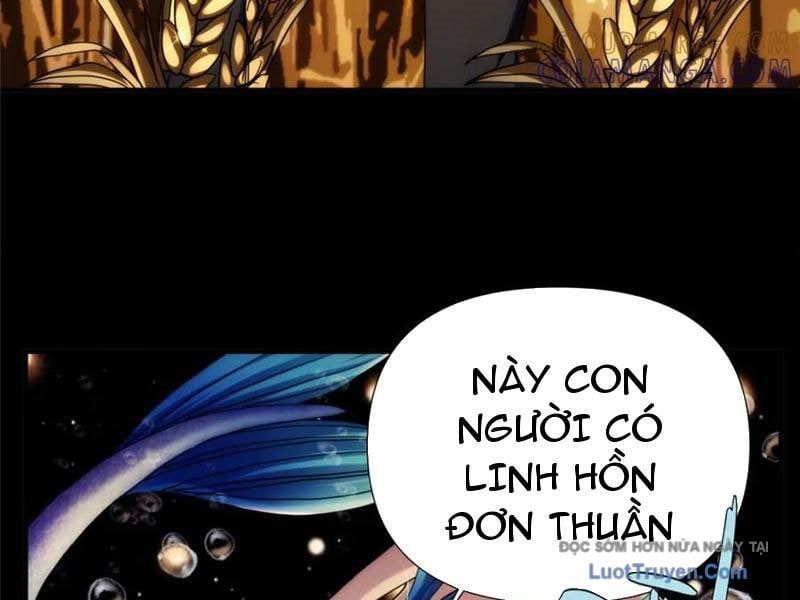 Quỷ Thần Trủng Chapter 47 - Trang 2