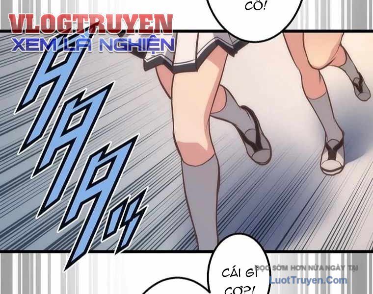 Quý Tộc Chiến Đấu Chapter 2 - Trang 2
