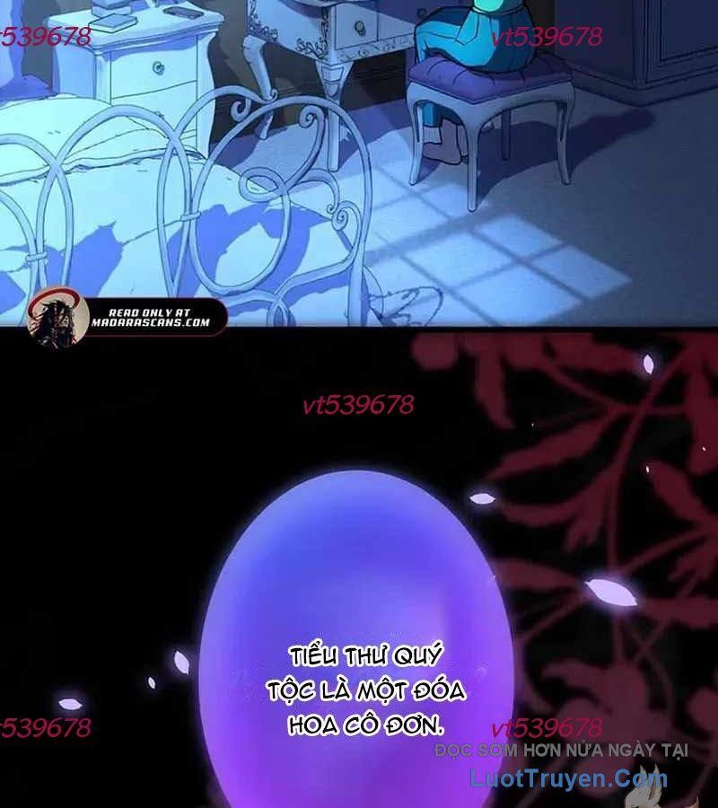 Quý Tộc Chiến Đấu Chapter 5 - Trang 2