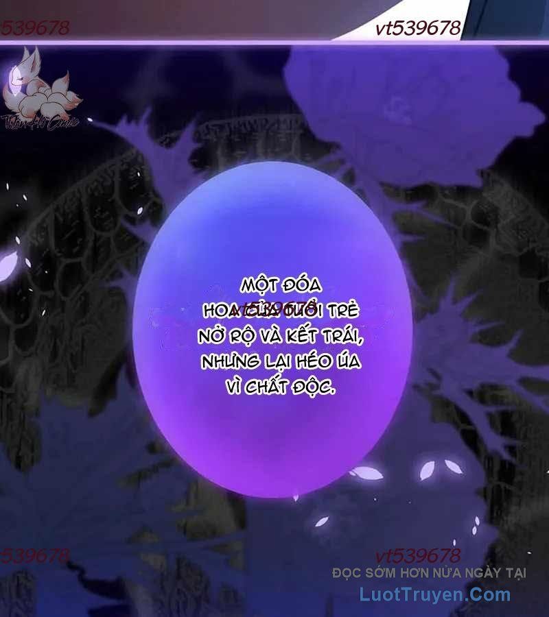 Quý Tộc Chiến Đấu Chapter 5 - Trang 2