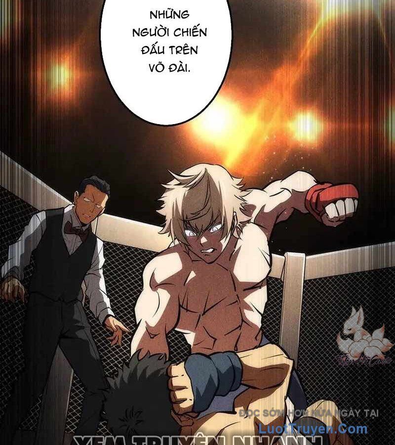 Quý Tộc Chiến Đấu Chapter 5 - Trang 2