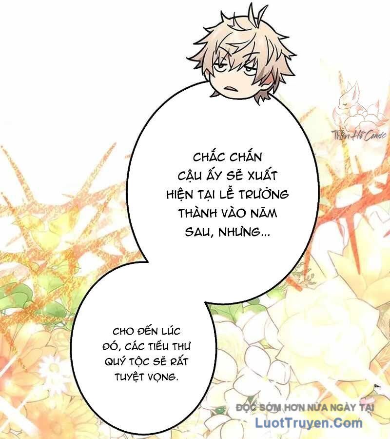 Quý Tộc Chiến Đấu Chapter 5 - Trang 2