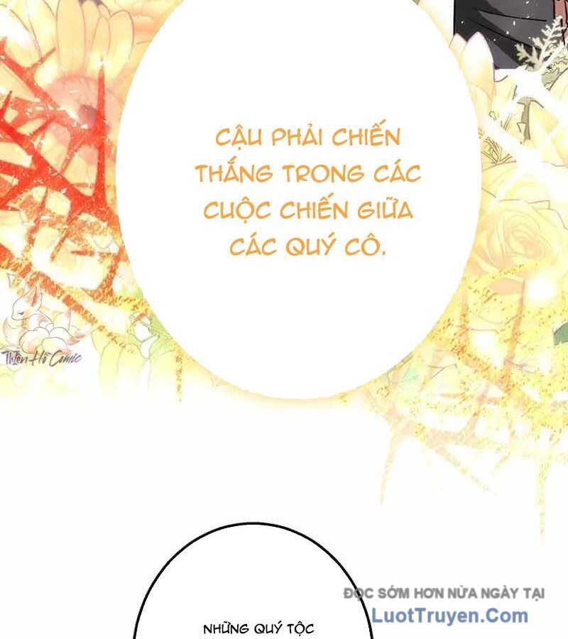 Quý Tộc Chiến Đấu Chapter 5 - Trang 2
