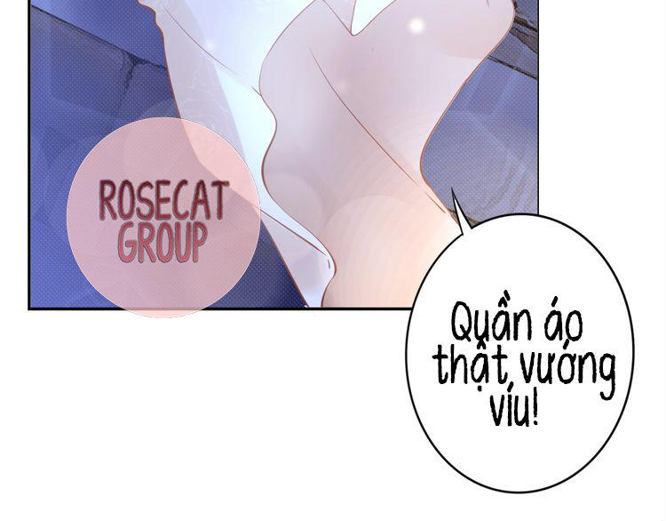 Quyền Thiểu, Nhĩ Lão Bà Yêu Bào Liễu Chapter 1 - Trang 2