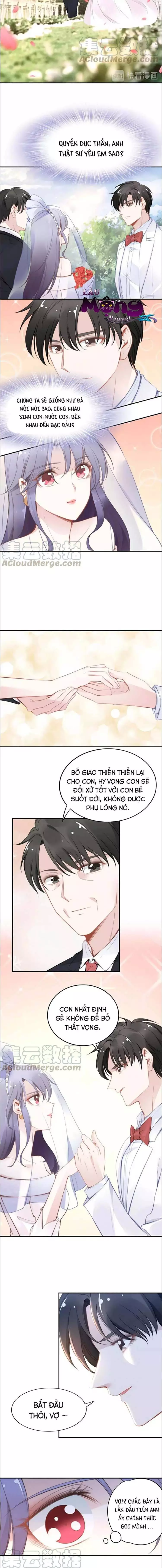 Quyền Thiếu, Vợ Anh Muốn Bỏ Trốn Chapter 40 - Trang 2