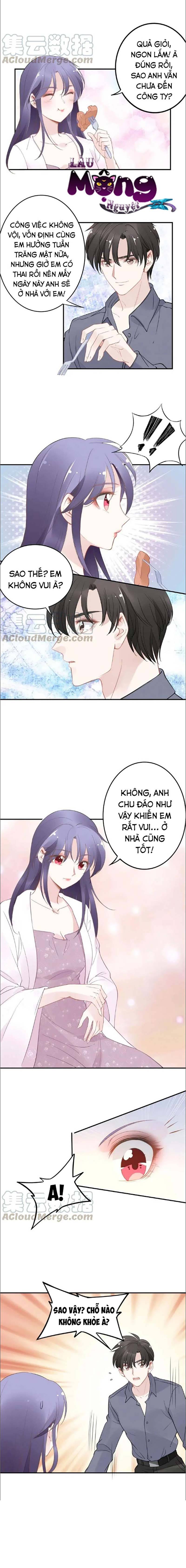 Quyền Thiếu, Vợ Anh Muốn Bỏ Trốn Chapter 42 - Trang 2