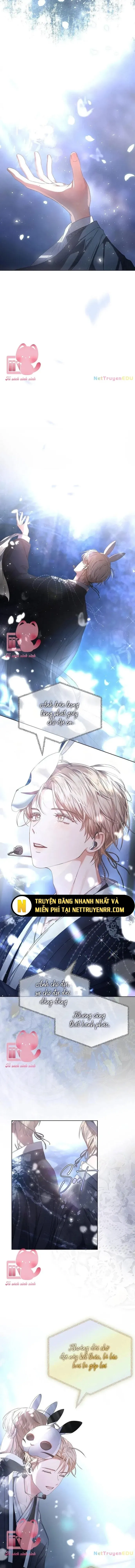 Ra Mắt Hay Ra Đi Chapter 45 - Trang 2