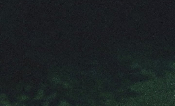 Ra Mắt Hay Ra Đi Chapter 96 - Trang 2