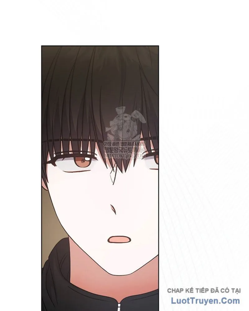 Ra Mắt Hay Ra Đi Chapter 97 - Trang 2