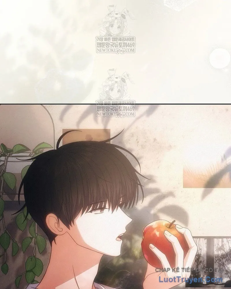 Ra Mắt Hay Ra Đi Chapter 97 - Trang 2