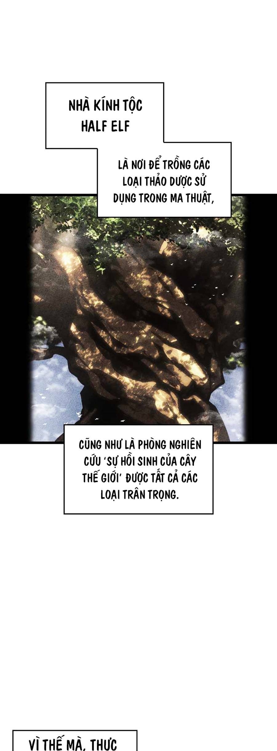 Ranker Cấp SSS Hồi Quy Chapter 76 - Trang 2