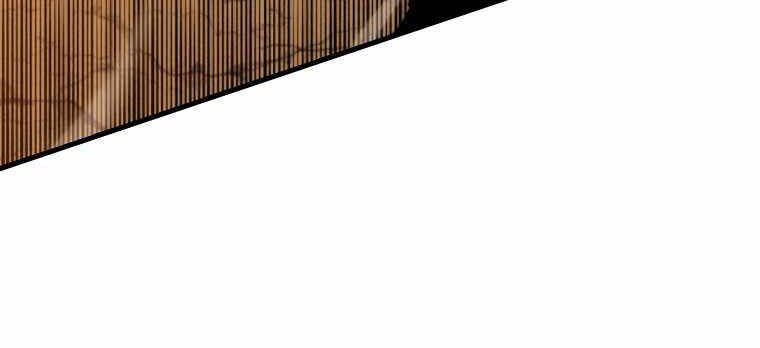 Ranker Mộng Du Chapter 9 - Trang 2