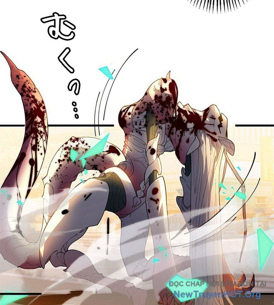 Ranker Sss Được Chọn Chapter 10 - Trang 2