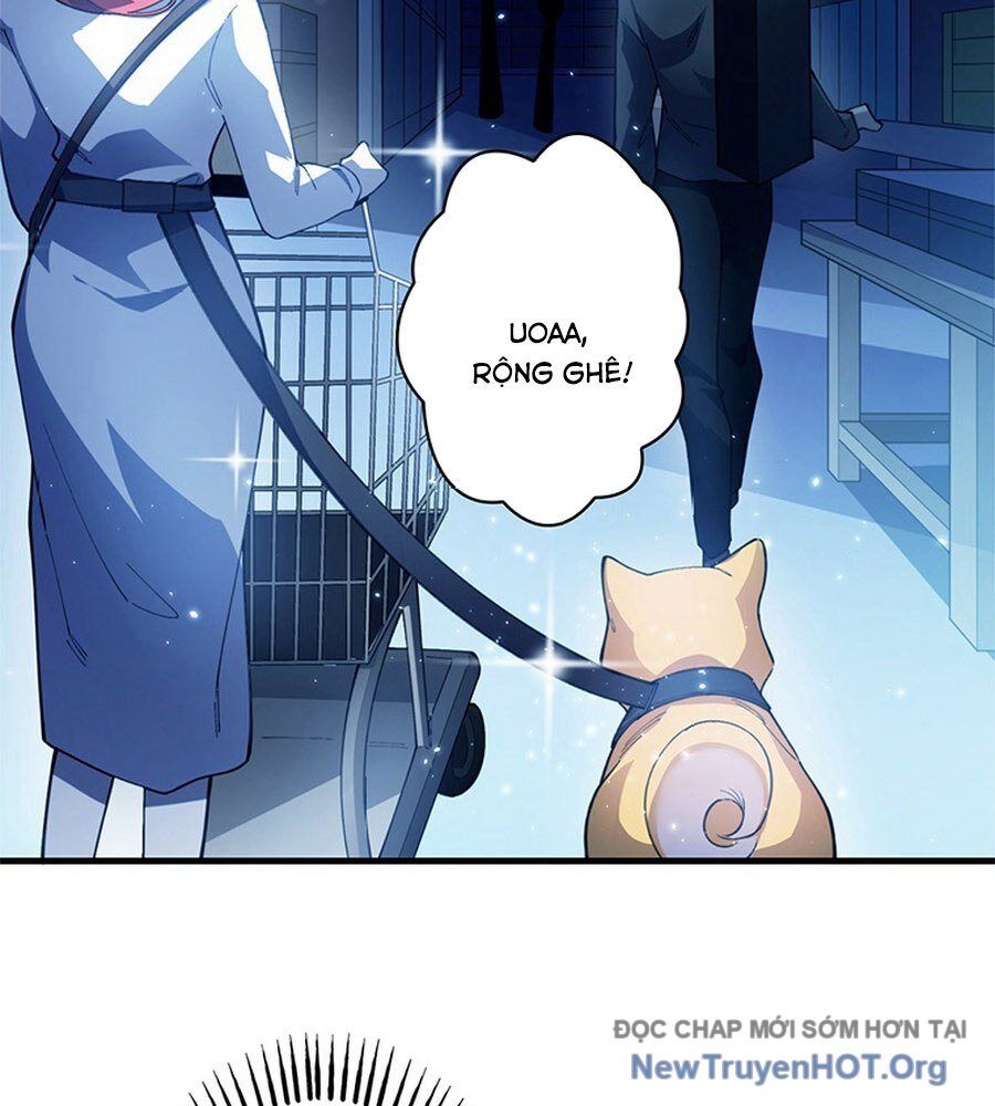 Ranker Sss Được Chọn Chapter 10 - Trang 2