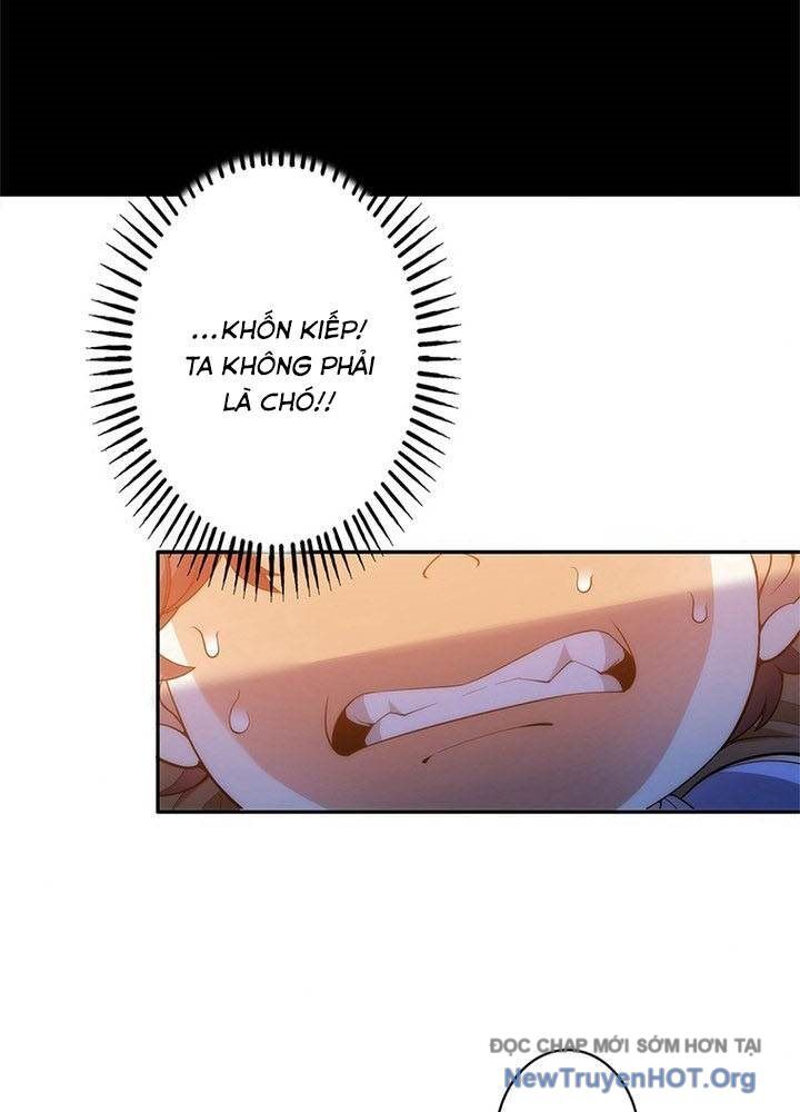 Ranker Sss Được Chọn Chapter 2 - Trang 2