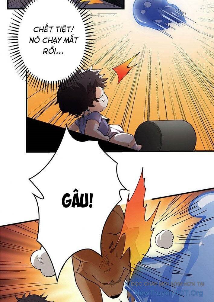 Ranker Sss Được Chọn Chapter 3 - Trang 2