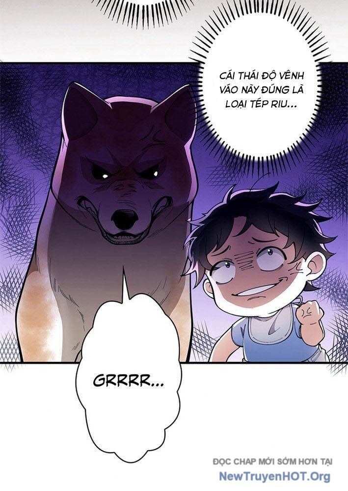 Ranker Sss Được Chọn Chapter 3 - Trang 2