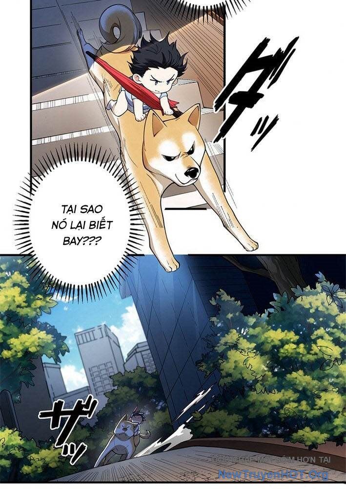 Ranker Sss Được Chọn Chapter 3 - Trang 2