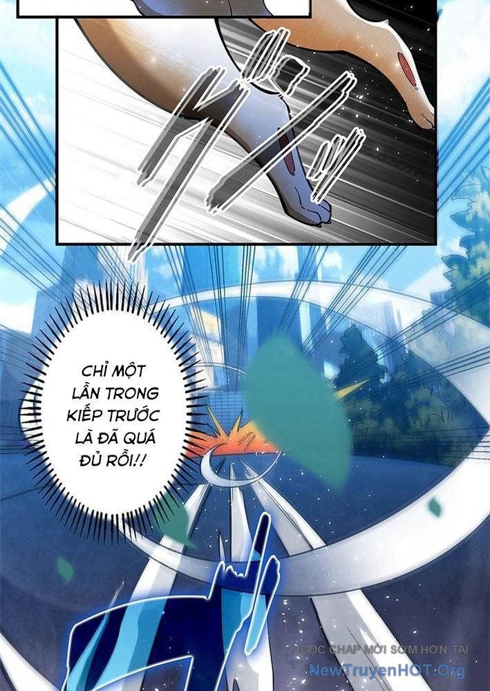 Ranker Sss Được Chọn Chapter 3 - Trang 2