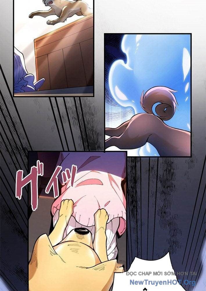 Ranker Sss Được Chọn Chapter 3 - Trang 2