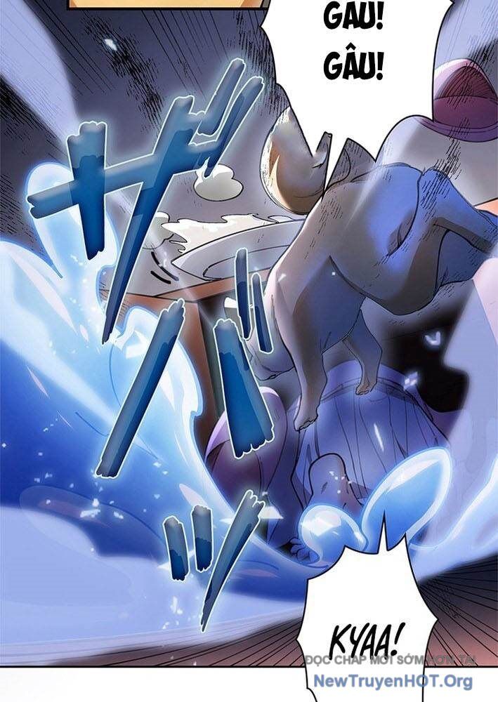 Ranker Sss Được Chọn Chapter 3 - Trang 2