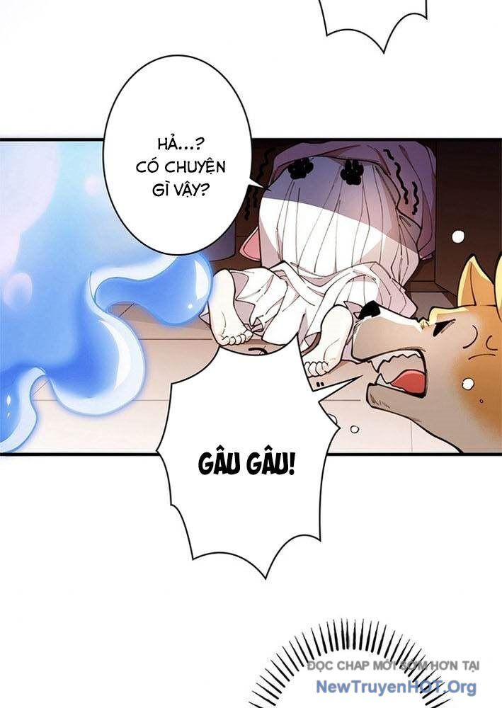 Ranker Sss Được Chọn Chapter 3 - Trang 2