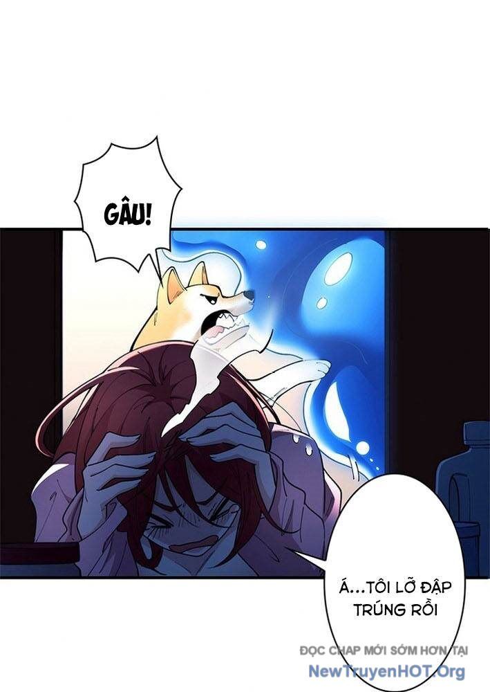 Ranker Sss Được Chọn Chapter 3 - Trang 2