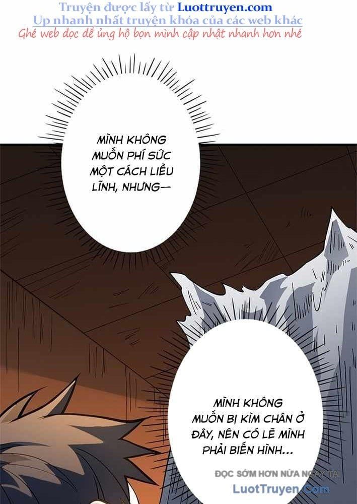 Ranker Sss Được Chọn Chapter 33 - Trang 2