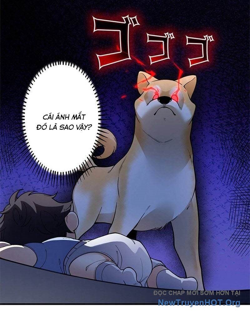 Ranker Sss Được Chọn Chapter 4 - Trang 2