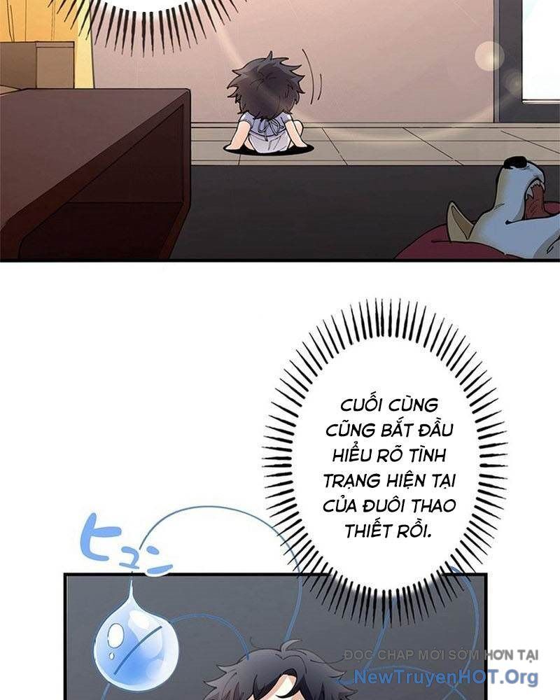 Ranker Sss Được Chọn Chapter 4 - Trang 2