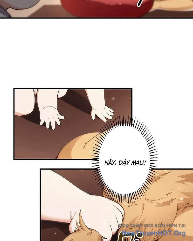 Ranker Sss Được Chọn Chapter 5 - Trang 2