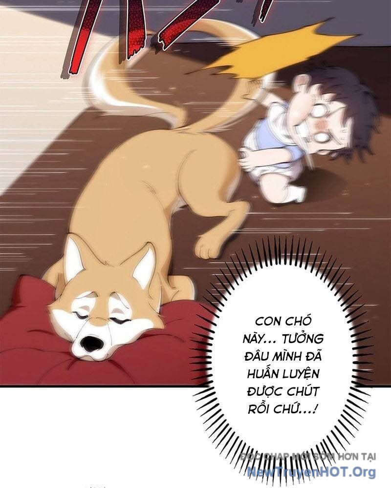Ranker Sss Được Chọn Chapter 5 - Trang 2