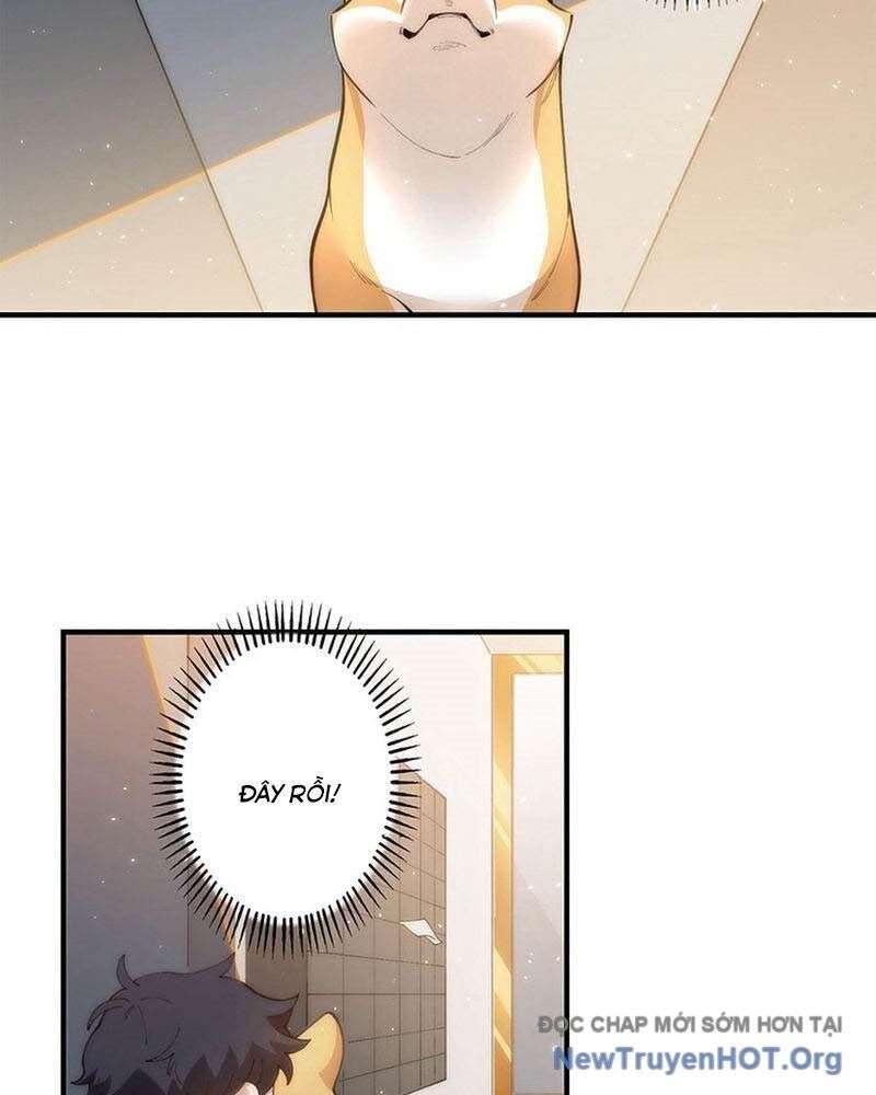 Ranker Sss Được Chọn Chapter 5 - Trang 2